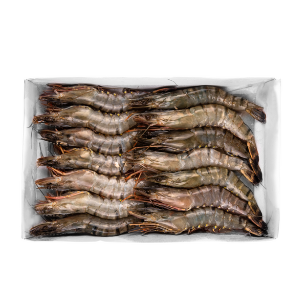 Wild Caught – Organic Black Tiger Shrimp Whole