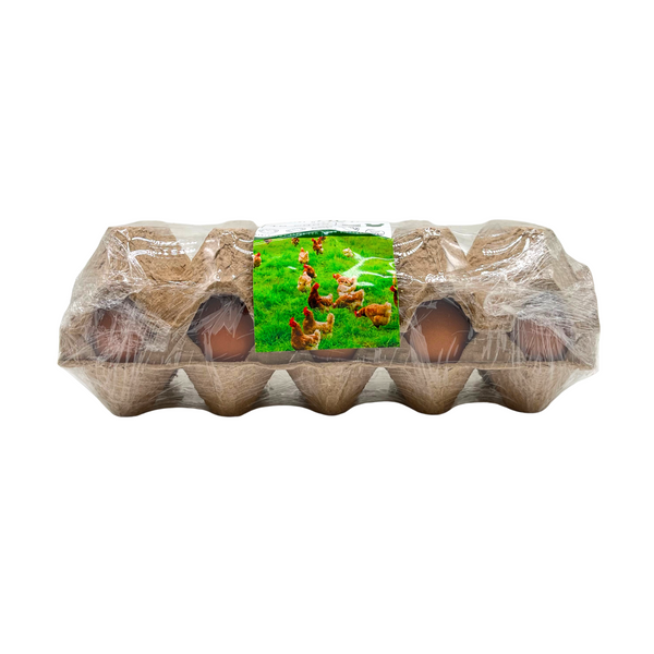 BIOHogs – Chicken Eggs