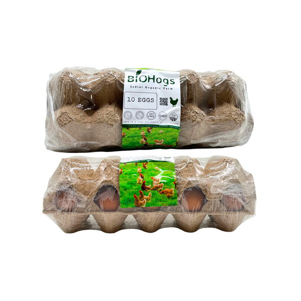 BIOHogs – Chicken Eggs