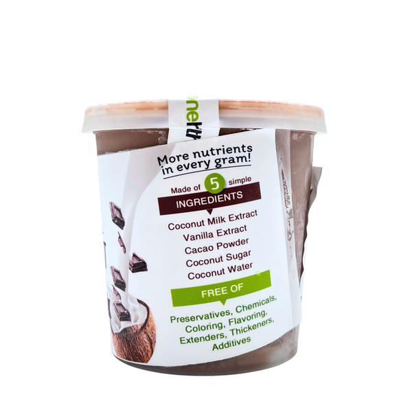 One Healthy — Non-Dairy Chocolate Coconut Ice Cream