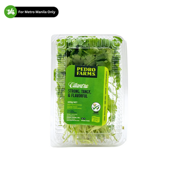 Pedro Farms — Cilantro