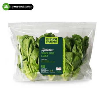Pedro Farms — Romaine