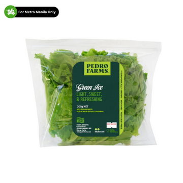 Pedro Farms - Green Ice Lettuce