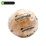 Coconato - Coconut Juice