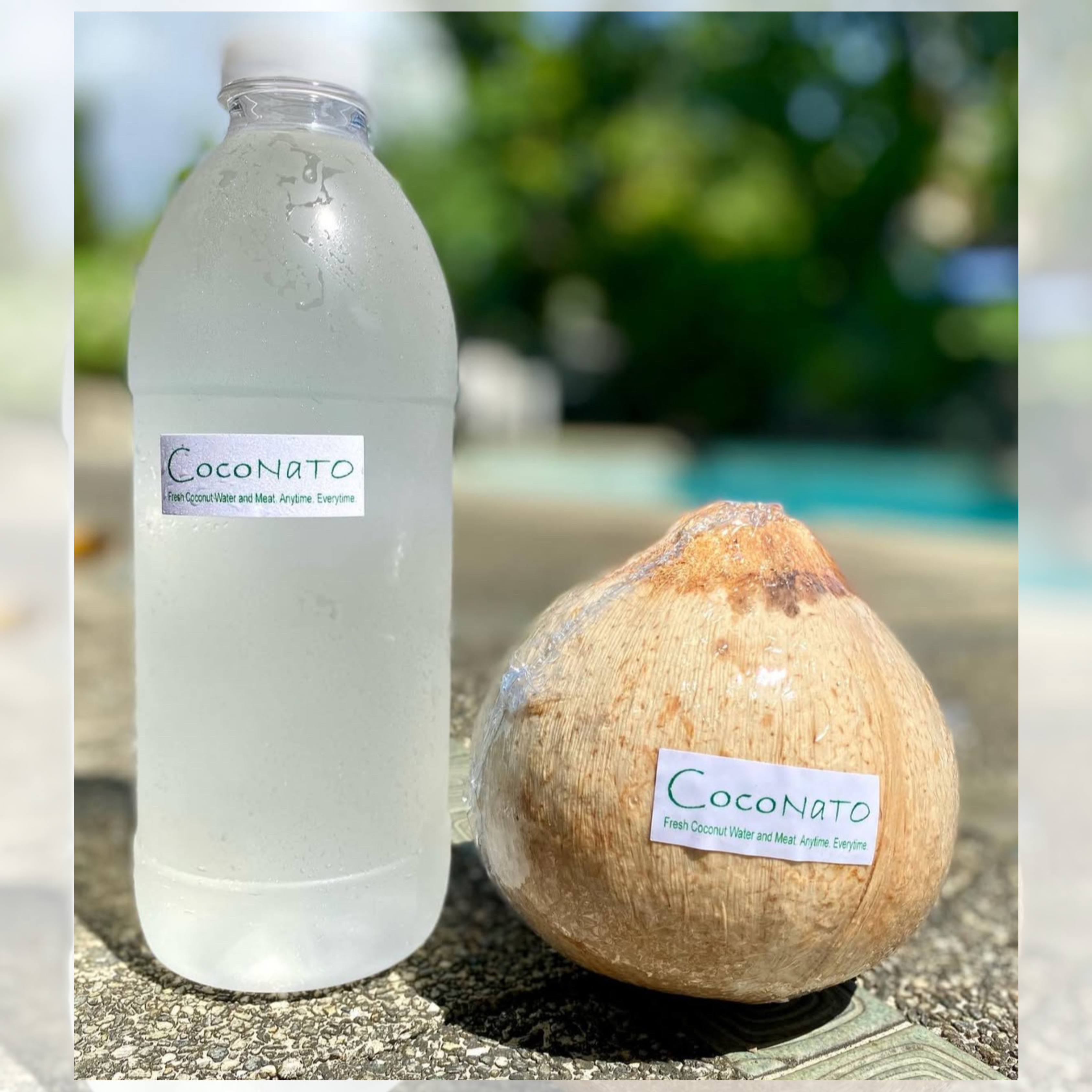 Coconato - Coconut Juice