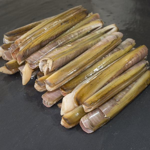 Wild Caught – Atlantic Razor Clams