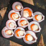 Wild Caught – Half Shelled Scallops